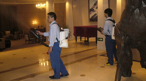 北京滅蒼蠅公司,蒼蠅與逆向思維 北京滅蒼蠅公司,蒼蠅與逆向思維