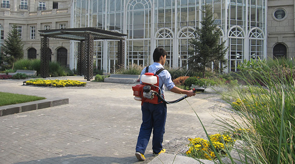 北京滅老鼠公司,關於(yú)老鼠的14件趣事 北京(jīng)滅老鼠公司,關於老鼠的14件趣事