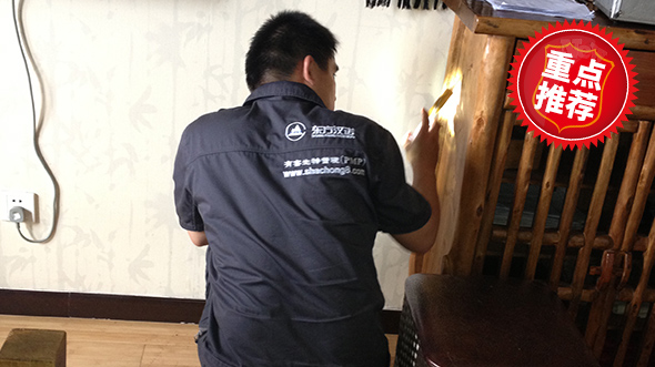 專業滅(miè)螞蟻 專業滅螞蟻