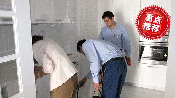 專業滅跳蚤 專業滅跳蚤